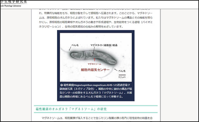 「第六感は微生物が生み出している」最新研究で判明! 人間の地震予知とも関連か、超能力を解くカギは細菌だ!の画像2