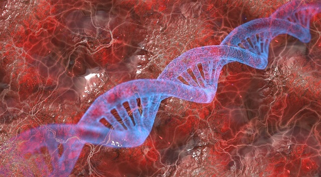 もうすぐ男は絶滅か…「Y染色体」がマジ減少中と判明! 性別決定遺伝子を失った人間に起こるトンデモない変化も!の画像3