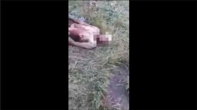 【閲覧注意】アゼルバイジャンとアルメニアの紛争、残虐映像流出!転がる死体、顔面剥ぎ、頭蓋骨むき出し… ニュースが報じない戦場の画像1