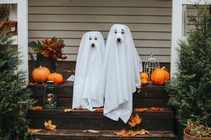 10月26日~11月1日「ハロウィン期間のあなたを襲う不幸」がわかる4択占い! 精神衰弱、集中力崩壊… Love Me Doが開運指南!の画像1