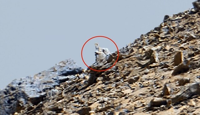 火星人は身長10cm前後と判明! 火星地表でミニ寺院の痕跡、マヤ文明と謎のリンク、ロングヘアの女性像…の画像6