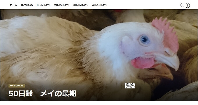 【閲覧注意】生きたまま斬首、熱湯に投入… 肉用鶏「ブロイラー種」屠畜の実態がエグい! 死ぬまでの地獄の50日とは!?の画像1