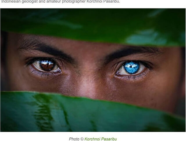 輝く青い目を持つインドネシア「ブトン族」の人々が神秘的すぎる！ 一度見たら忘れられない「ワールデンブルグ症候群」の真実！の画像1