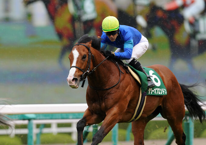 「馬券で生活している」前代未聞の集団が明かした特大万馬券的中の秘密とは!? スプリンターズSのヤバすぎる情報も激白!の画像2