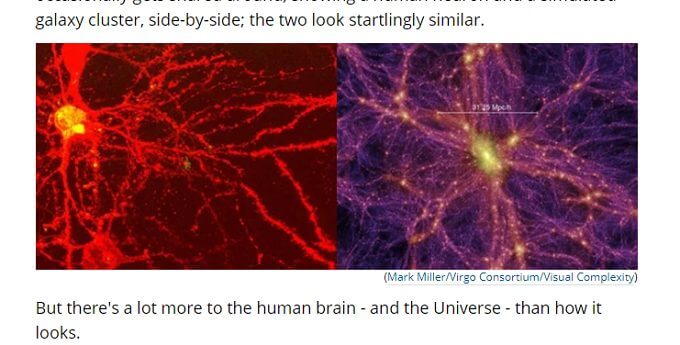 脳と宇宙に構造的共通点が多数! あまりにも似ているニューロンと銀河のネットワークの画像2