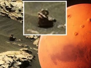 「亀の進化系」が火星で生きていた!?  うねる「亀型宇宙人」が発見される！