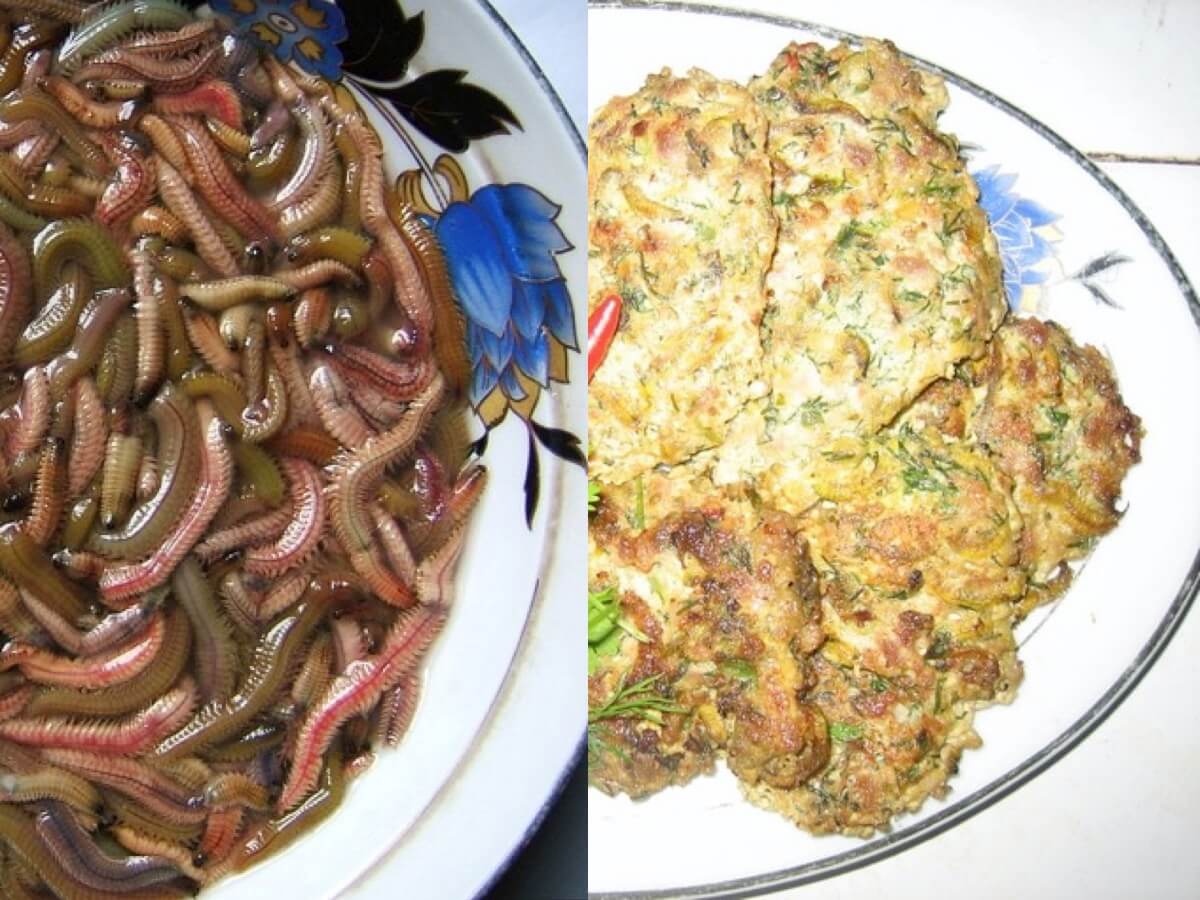 ベトナムのゲテモノ料理チャールイが視覚的に強烈すぎてヤバすぎる 大量のゴカイをオムレツに