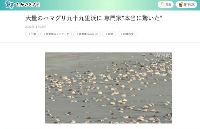 【緊急地震予言】千葉・九十九里浜でハマグリ大量発生は巨大地震のガチ前兆! 3.11と関東大震災の直前にも!!の画像1