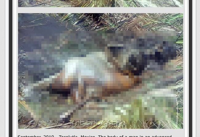【閲覧注意】野生動物にぐちゃぐちゃに貪り食われた人体はこうなる! 最恐の腐乱死体=メキシコの画像1
