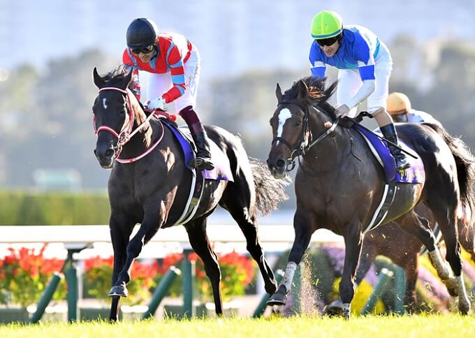 【緊急】JRAジャパンC(G1)アーモンドアイに不安情報!? 競馬史に残るレースで超高額配当か、ヤバすぎる関係者情報を特別公開の画像2