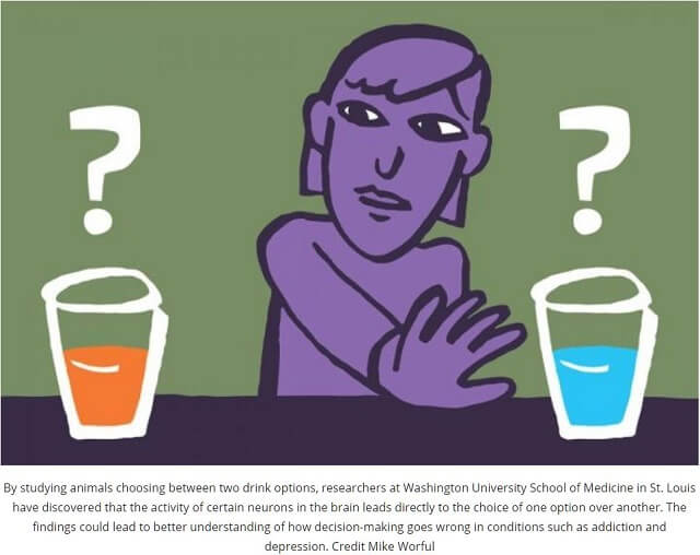 瞼の上あたりに「洗脳のツボ」がある!? 脳にビビッときて嫌いなものを好きにさせることに成功!(最新研究)の画像2