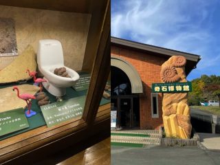 唾液を吸収する石、ぐにゃぐにゃのこんにゃく石…静岡にある超謎の館『奇石博物館』に村田らむが潜入！