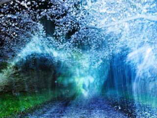現在、過去、未来、暗闇の桜並木…コロナで一転した世界を捉えた岩根愛写真集『A NEW RIVER』が美しすぎて泣ける！インタビュー
