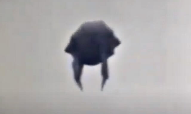 【衝撃映像】脚が生えた甲虫型UFOがヤバすぎる!! 研究者も怯える不吉な姿、「気球ではあり得ない」擬態能力を誇示か!?の画像1