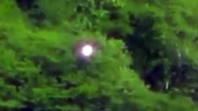 【衝撃映像】脚が生えた甲虫型UFOがヤバすぎる!! 研究者も怯える不吉な姿、「気球ではあり得ない」擬態能力を誇示か!?の画像3