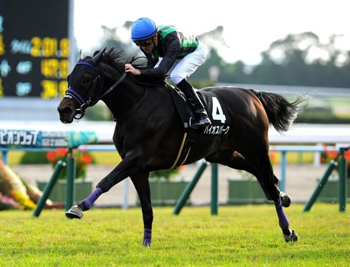 今年最初の「ドデカお年玉」大放出!! 5日のJRA金杯は万馬券必死、当たりまくる馬券集団が買い目をガチ伝授!の画像2