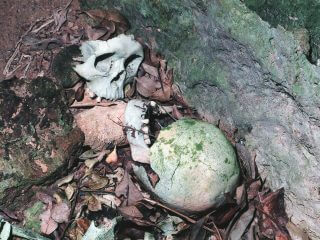死者の骨を割った男が水死…沖縄の“風葬墓”ジーシガーミの呪いを取材！ 頭骨がごろり…