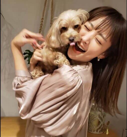 石原さとみ、夏菜だけじゃない一般人と結婚した芸能人4選! 「定義がズレてる」選ばれる一般人の条件とは?の画像1