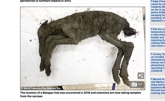 ロシアが永久凍土の死骸から「古代のウイルス」抽出へ! 未知の病原体が目覚める恐れ… 危険すぎる研究の真の目的とは!?の画像3