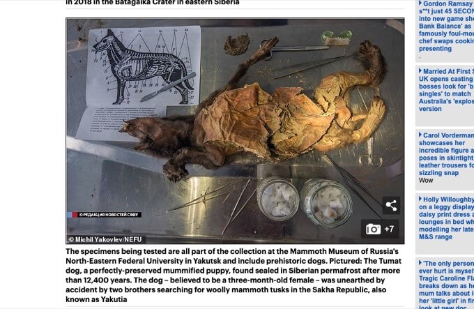 ロシアが永久凍土の死骸から「古代のウイルス」抽出へ! 未知の病原体が目覚める恐れ… 危険すぎる研究の真の目的とは!?の画像2