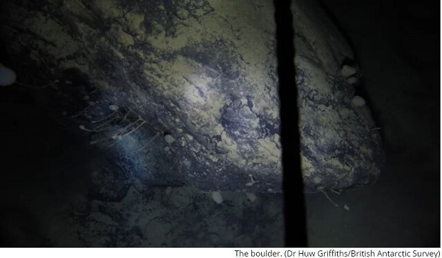 【史上初】ついに南極の氷の下で謎の生命体が発見される！ 「いるはずない」科学者も戦慄、生物の常識が覆える事態！の画像3
