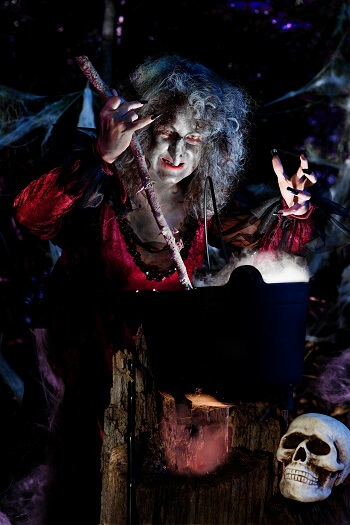 【動画アリ】魔女秘伝のバレンタイン媚薬チョコ魔術! 気になるアイツがきっと落ちる怪しいレシピを大公開!の画像3