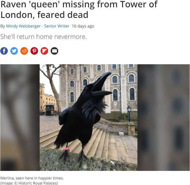 英王家の滅亡が迫っている!? ロンドン塔の女王カラスが謎の失踪、17世紀の恐ろしい伝説と不吉な予兆に全英震撼!の画像2