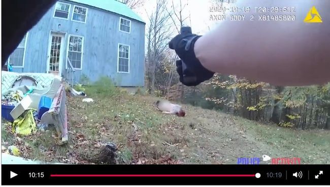 【閲覧注意】アメリカの警察官の仕事がリアルガチ「バイオハザード」だった! 血まみれ全裸男が襲いくる衝撃映像!の画像8