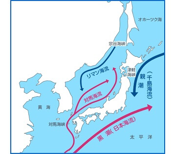 島根で超巨大地震が迫っているのか!? ダイオウイカの連続水揚げと地震の関係を専門家に取材、驚きのアンサー!の画像3