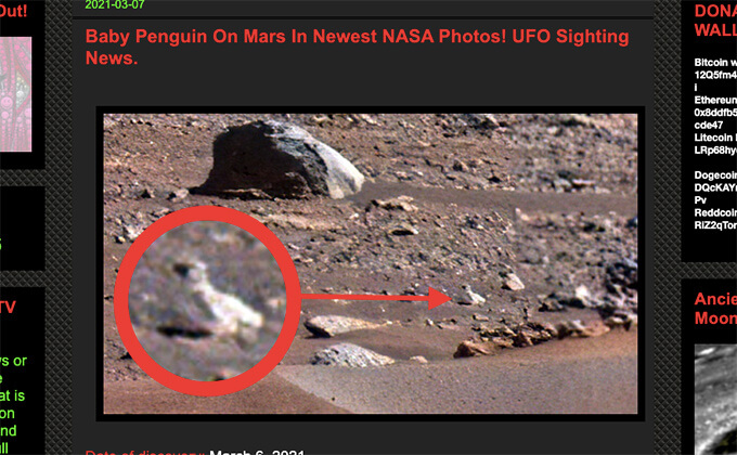 火星で「赤ちゃんペンギン」が発見される！ の画像1