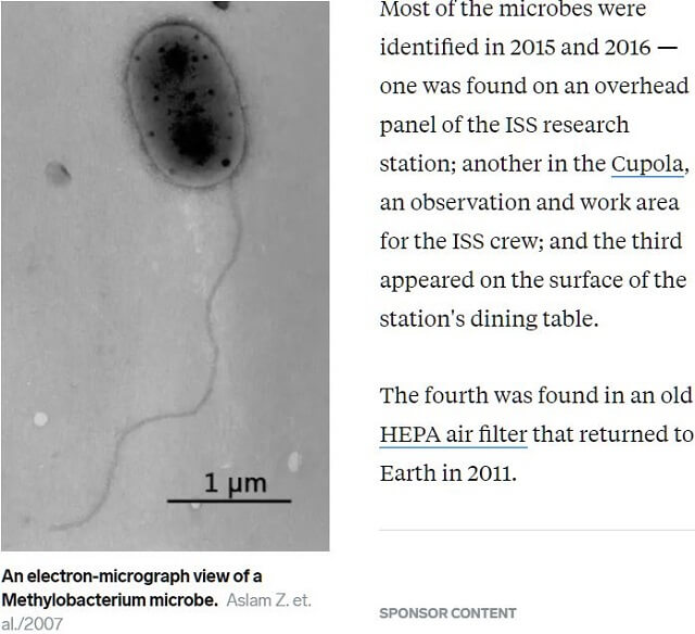 【戦慄】ISSで未知の細菌が発見される！ 低重力に絶え、細胞分裂を促進… 彼らは「地球に行く」のを待っている！の画像3
