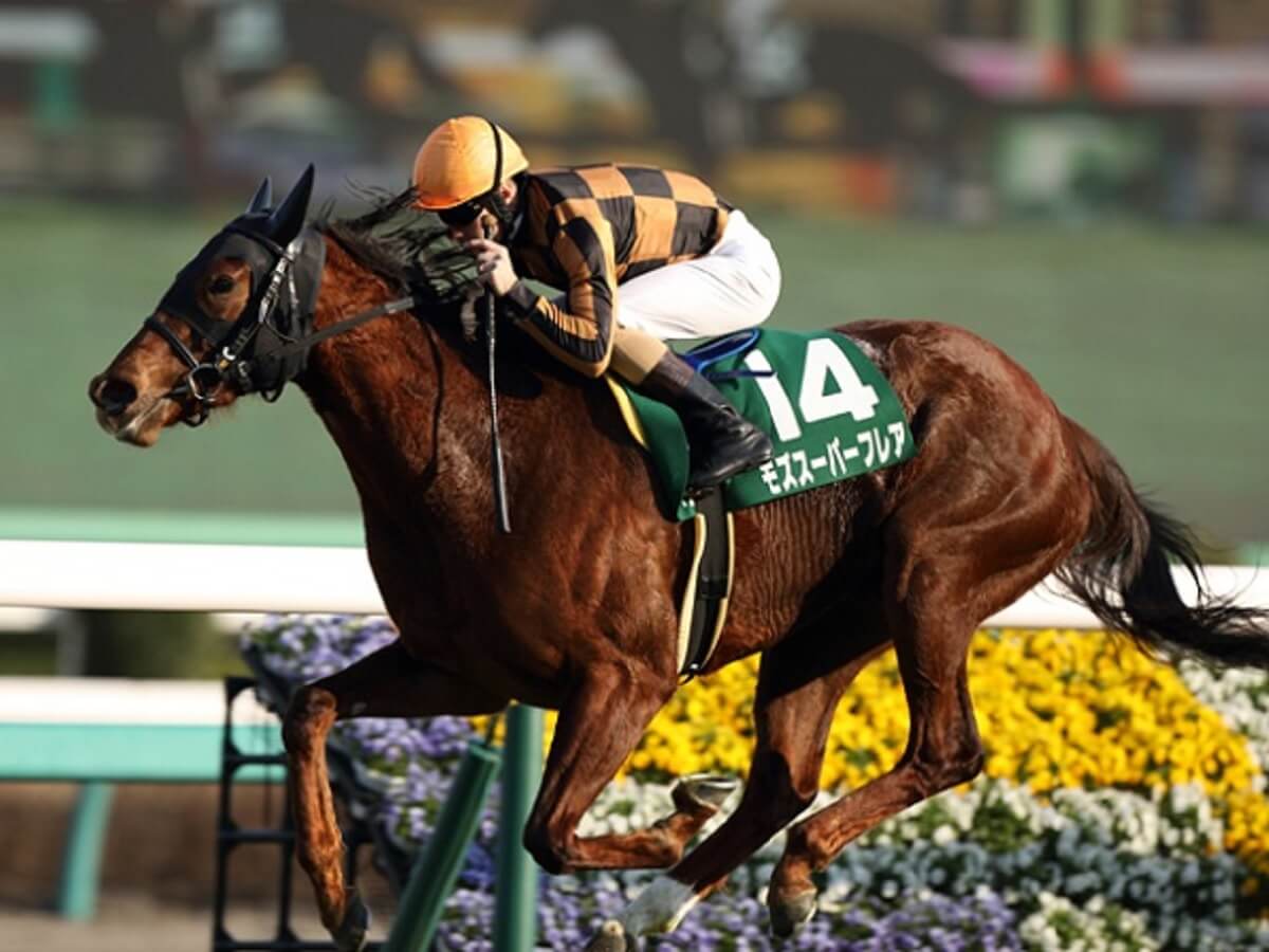 春競馬g1開幕 競馬マスコミに惑わされるな 週末のjra高松宮記念 G1 で衝撃の特大万馬券に繋がる極秘データ流出