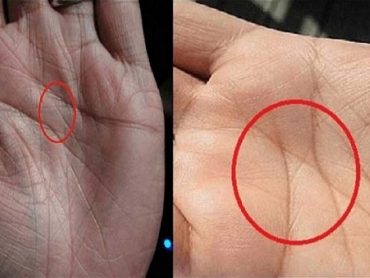 オバマの検索結果 Tocana