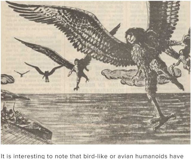世界で相次ぐ鳥型ヒューマノイド目撃!! UFO同伴で拉致事件も発生、死体は粉末に… ガチ「鳥人間」の正体とは!?の画像5