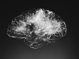 「意識は脳の電磁場に宿る」脳のWi-Fiで無線エネルギーをキャッチ！ 自由意思の謎に迫るセミ・フィールド理論とは？