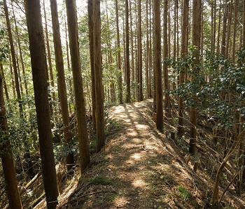 異世界へのゲートが広島・福山に存在!? 知られざるUMA「蛇円山の大蛇」郷土史に記された50年前の恐すぎる目撃談を暴露!の画像5