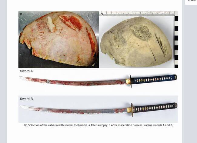 【閲覧注意】アル中のドイツ人が「日本刀」で友人をぶった斬って惨殺! 血の海、頭蓋骨の傷… ヤバすぎる刀の殺傷力!の画像6