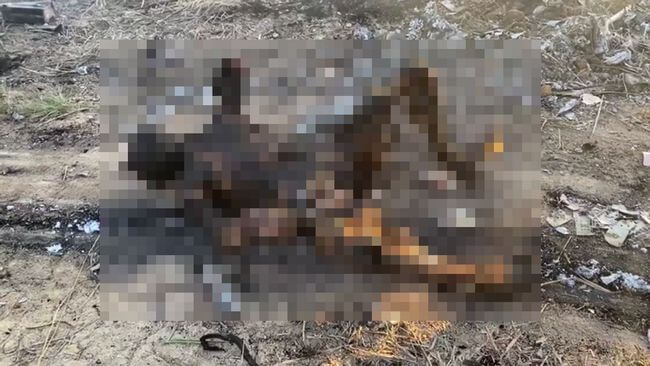 【閲覧注意】ブラジルで飛行機墜落、地獄すぎる現場映像が流出! 焼け焦げ炭化、頭が潰れ、腕が千切れ… 激しい損傷のリアルの画像1