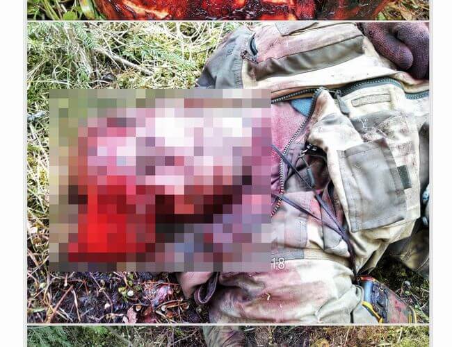 【超・閲覧注意】クマに襲撃された男の恐ろしすぎる最期!! 剥ぎ取られた頭皮が散乱、クマは人間の頭部から攻撃する!?=ロシアの画像1