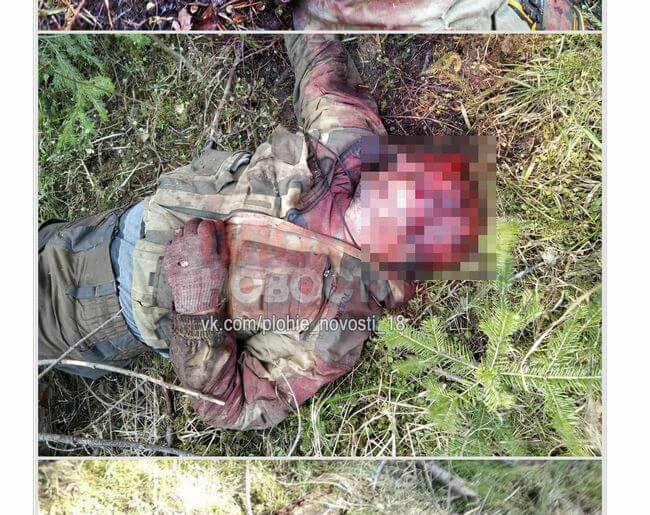 【超・閲覧注意】クマに襲撃された男の恐ろしすぎる最期!! 剥ぎ取られた頭皮が散乱、クマは人間の頭部から攻撃する!?=ロシアの画像4