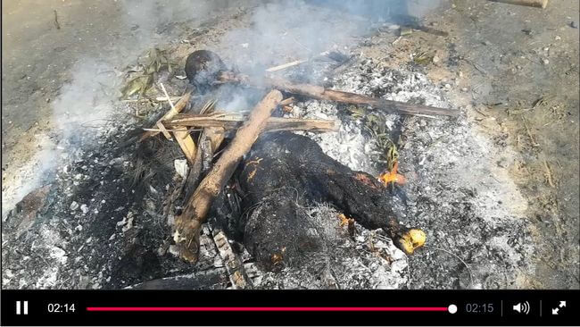 【閲覧注意】群衆が殺人容疑者を「人肉ステーキ」にして貪る狂気のカニバリズム映像流出!! 市民が理性を完全喪失、背景に何が!?=コンゴの画像9