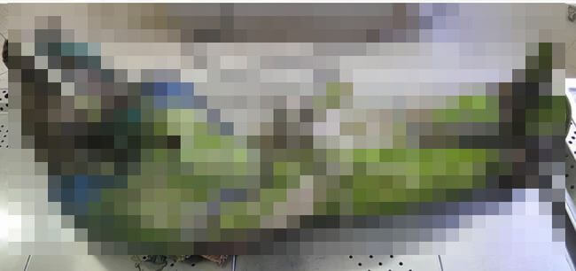 【閲覧注意】13年前の自殺者の死体がハチの巣になって発見される! 全身を蜂に占領され「人間巣箱」に… 恐怖の変貌!の画像1