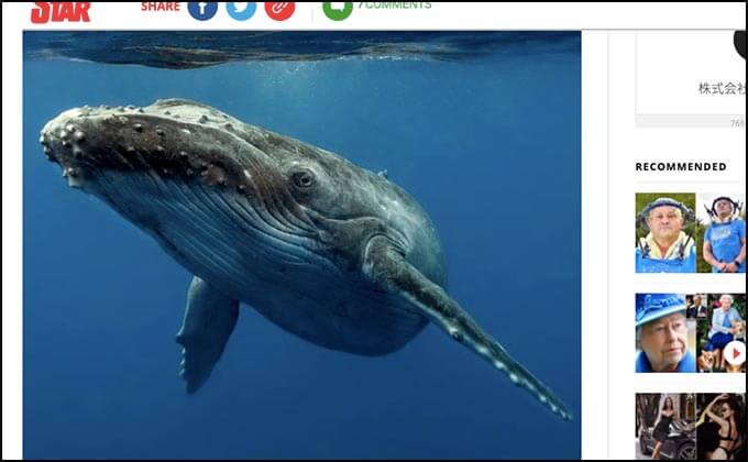 【緊急】ネッシー有名写真の正体は勃起したペニスだった可能性! 研究論文でガチ指摘、UMA探索に衝撃展開!の画像2