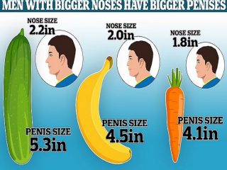 「鼻が大きい男性はペニスも大きい」最新研究でついに結論！ 鼻でわかる「ペニスの長さ算出方法」や指での鑑定法も