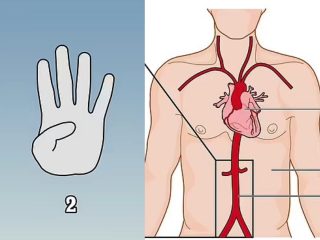 【テスト】大動脈瘤かどうかわかる超簡単「親指テスト」がヤバい！ 動脈瘤が破裂した患者の50％が死亡