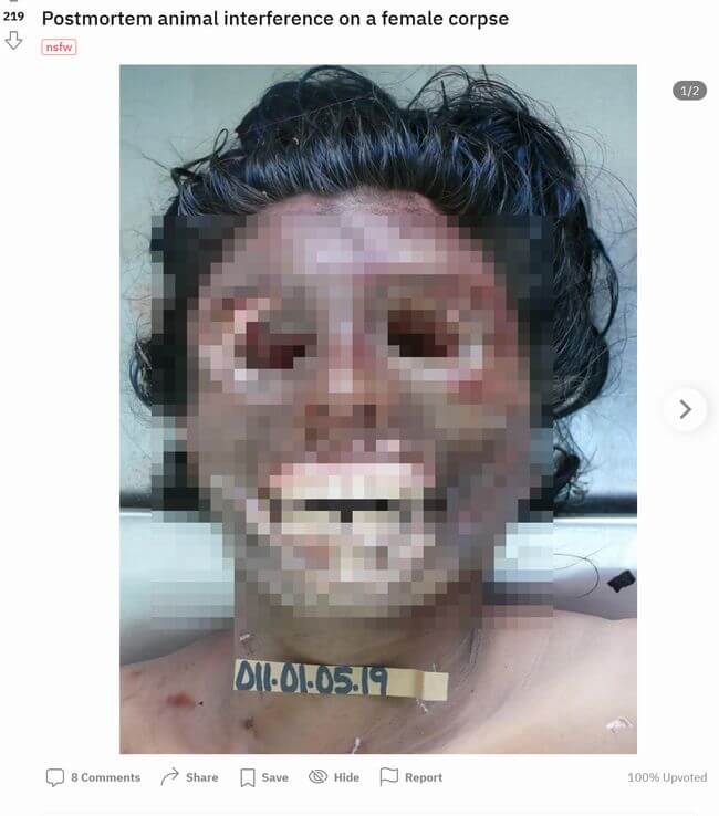 【閲覧注意】全裸で自然界に放置された死体はこうなる! 眼球・唇・性器… 柔らかい部分から貪られる「タフォノミー」のリアルの画像1