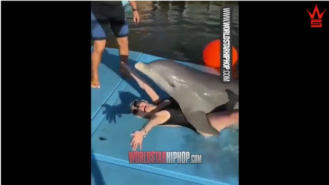 【閲覧注意】イルカが金髪美女を壮絶レイプする決定的瞬間! のしかかり、腰を震わせ… 性獣の本能が暴発!の画像1