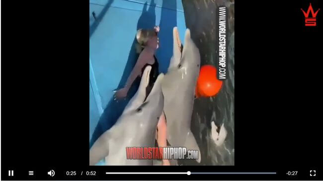 【閲覧注意】イルカが金髪美女を壮絶レイプする決定的瞬間! のしかかり、腰を震わせ… 性獣の本能が暴発!の画像3