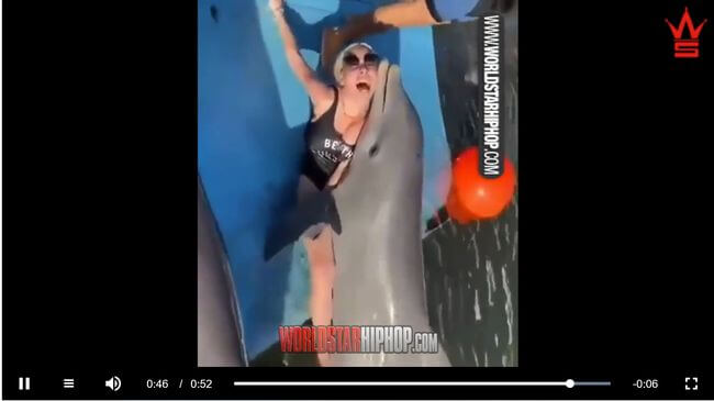 【閲覧注意】イルカが金髪美女を壮絶レイプする決定的瞬間! のしかかり、腰を震わせ… 性獣の本能が暴発!の画像5