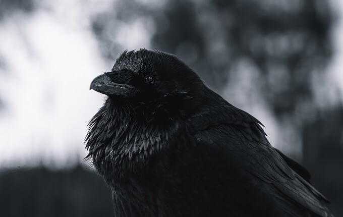 【実録】美空ひばりは死後も帝国劇場にやって来ている!? カラスの予言、神棚、亡霊… 数々の芸能オカルト裏話を現場カメラマンが激白!の画像1